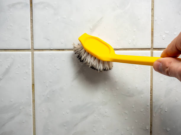 Best Insurance-Related Mold Remediation in Stockton, MO