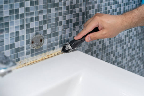 Best Localized Mold Remediation (e.g., coastal areas, humid climates) in Stockton, MO