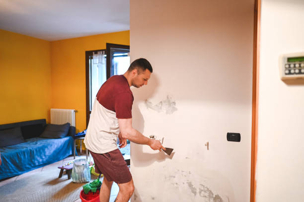 Best Post-Remediation Services in Stockton, MO